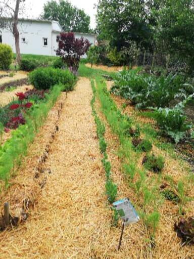 Вилла Au Coeur Du Jardin La Boussac Экстерьер фото